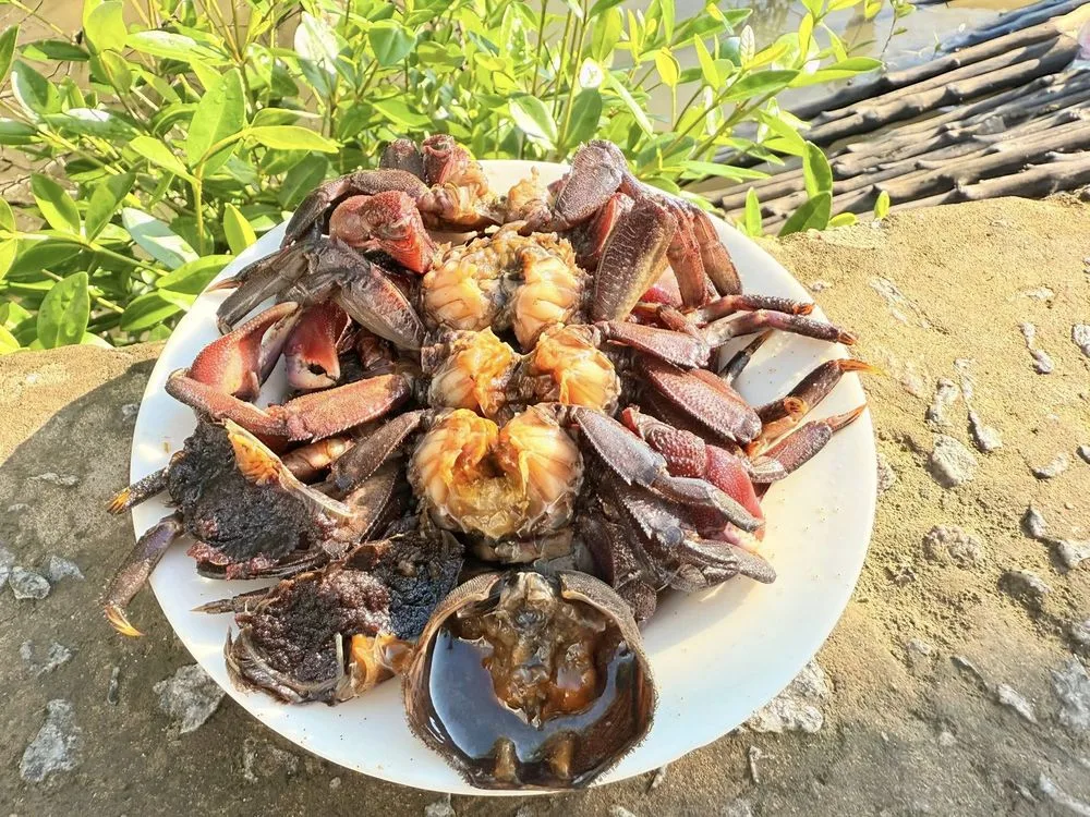 Mắm Ba Khía