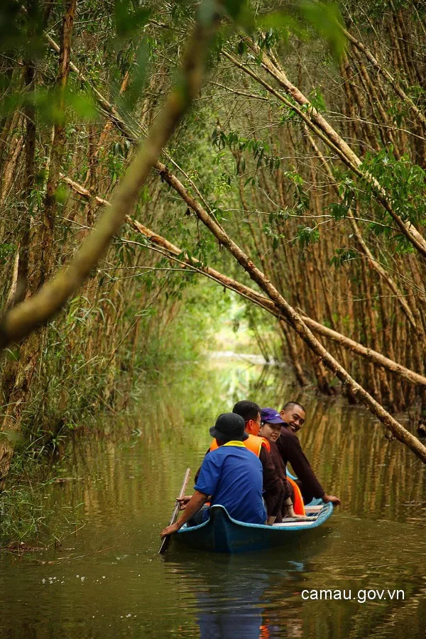 Rừng U Minh Cà Mau