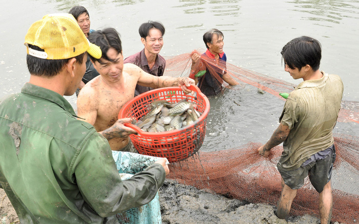 Người Cà Mau